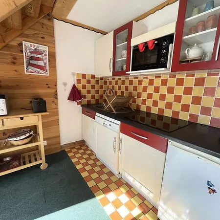 Apartment Rochail - Duplex Chaleureux En Centre Station Avec Vue Sur Les Pistes Mae-5311